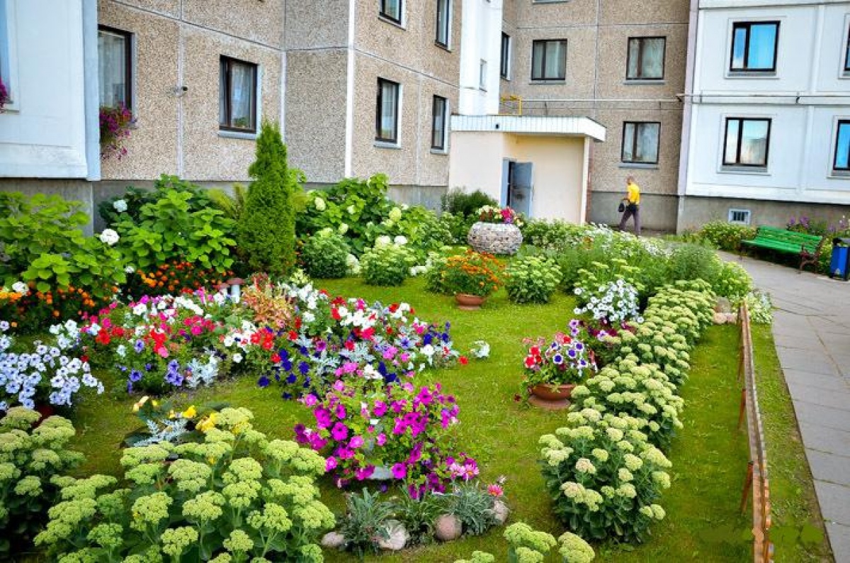 Организовать городской. Палисадник в Московском дворе. Зеленый квартал палисадник. Северное Бутово лучший двор палисадник. Цветники во дворе многоквартирных домов.