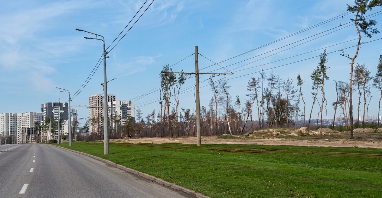 журавлевский лес
