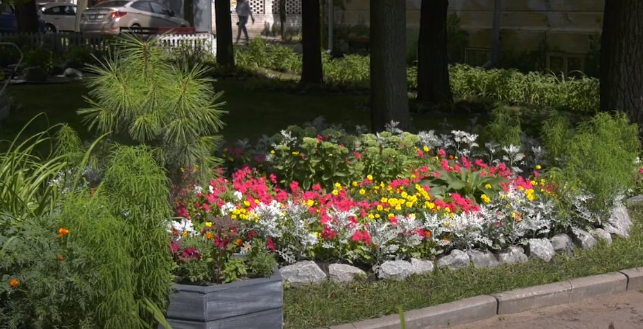 харьков двор