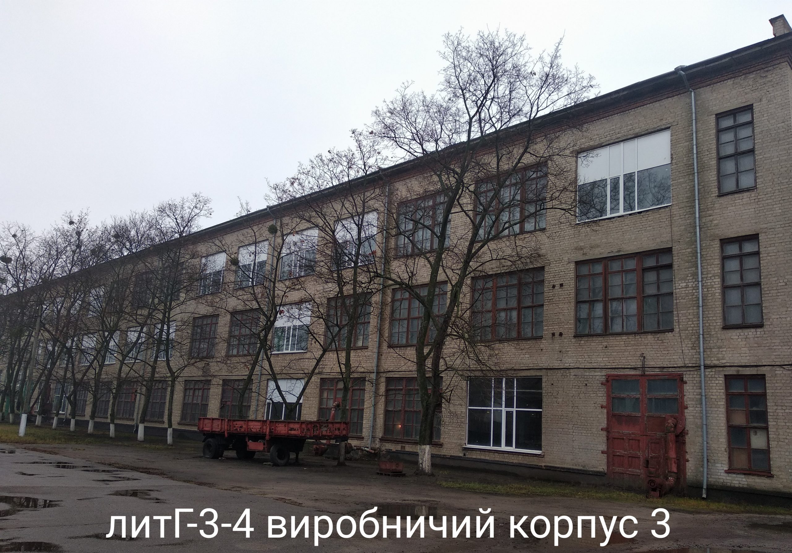 трансвязь