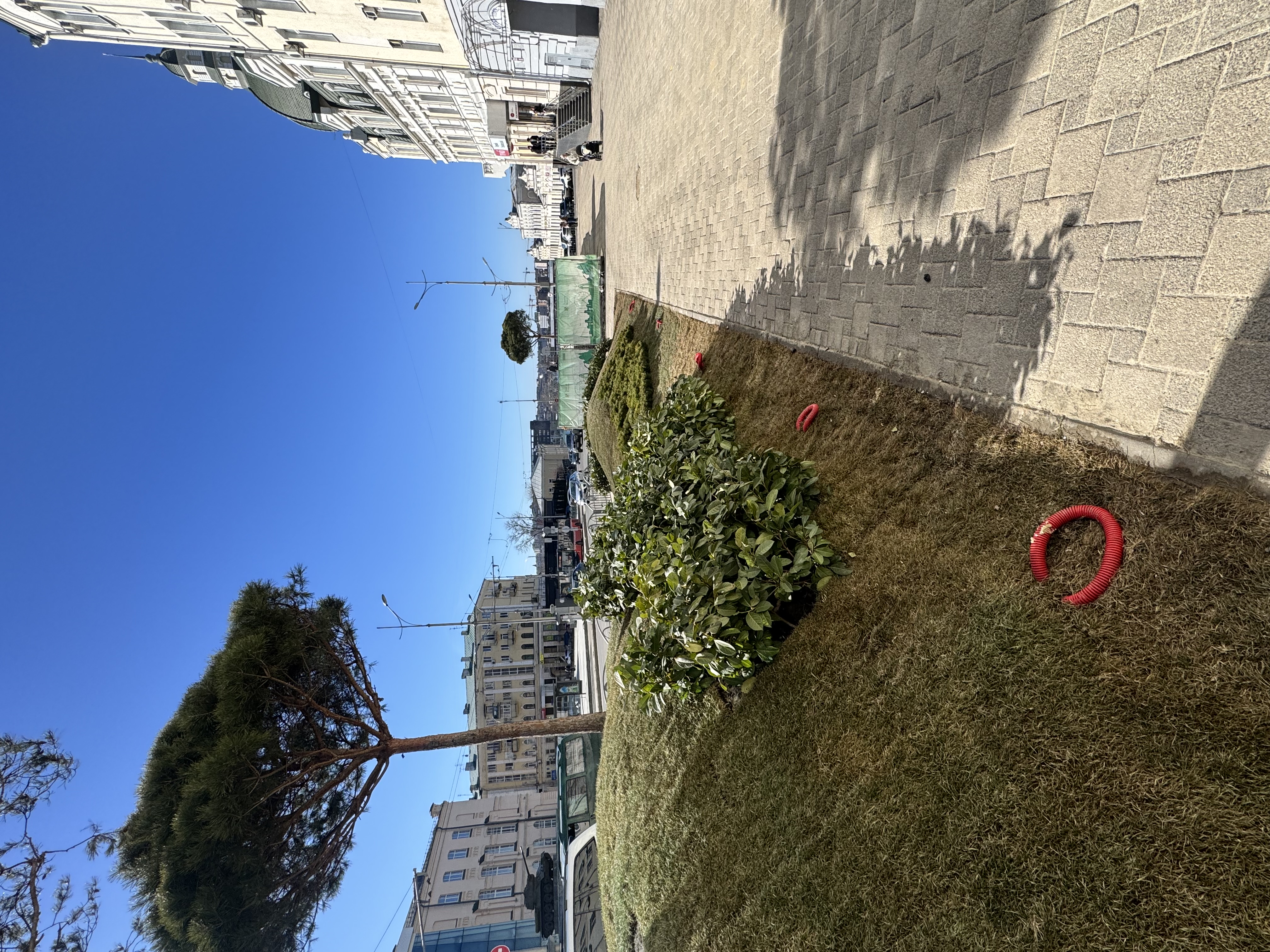 градусник ландшафтная зона