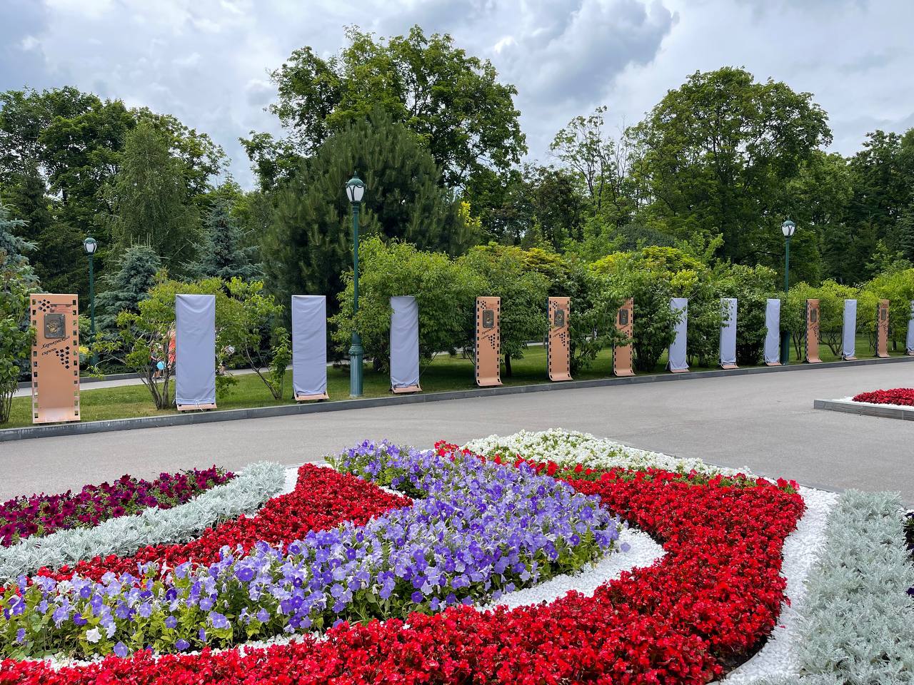 Стелла Алия Харьковская сирень