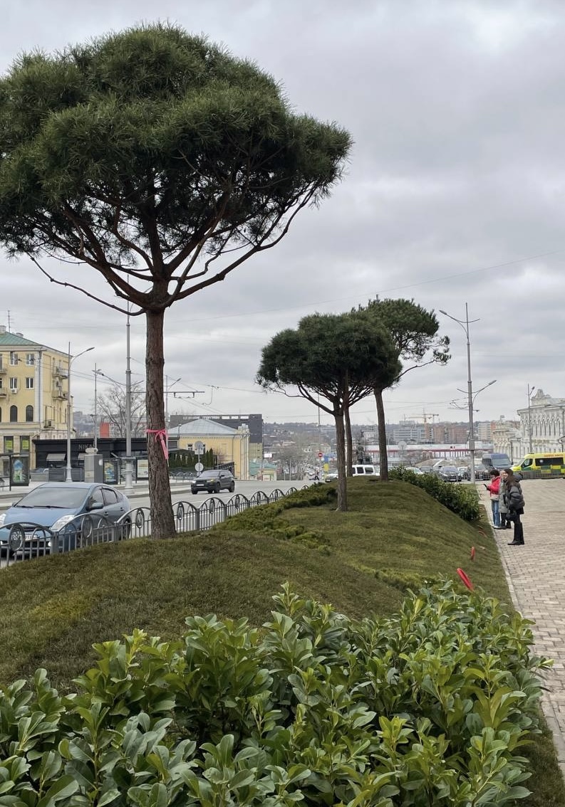 Градусная ландшафтная зона