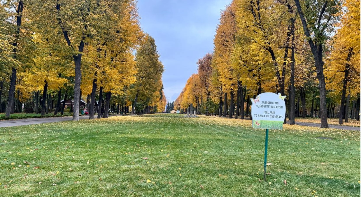 газон центральный парк