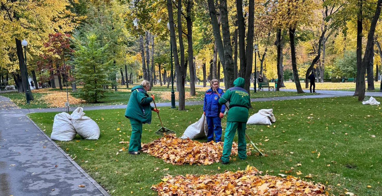 центральній парк