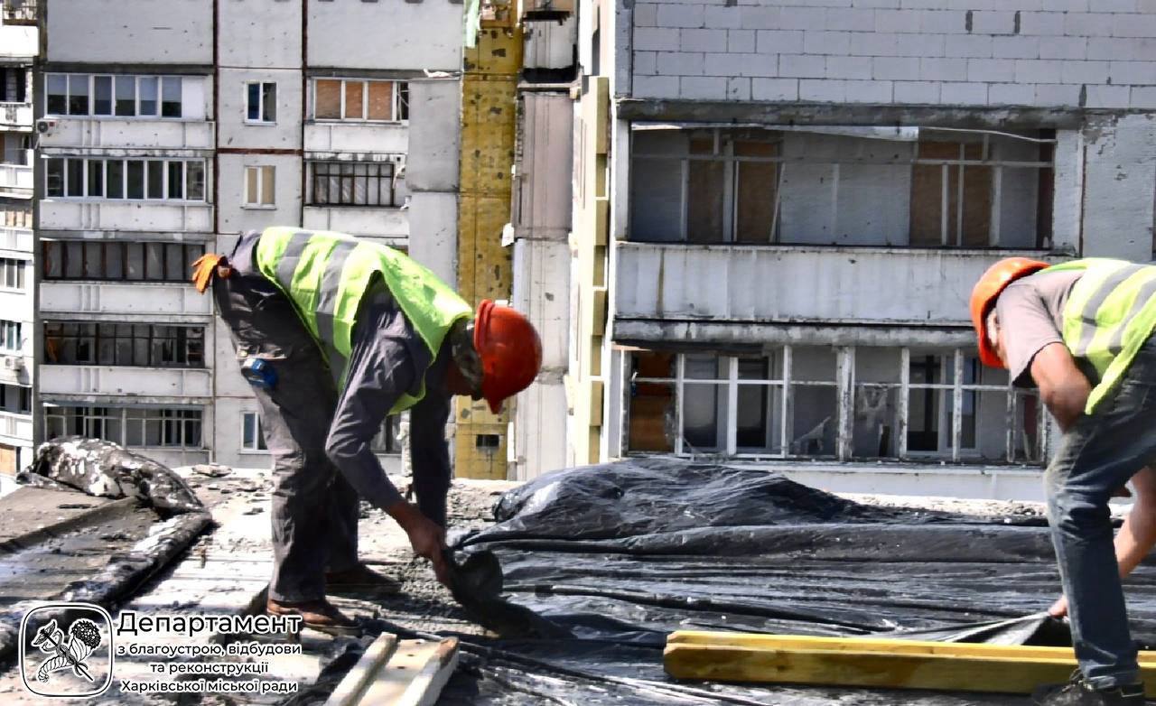 леся сердюка