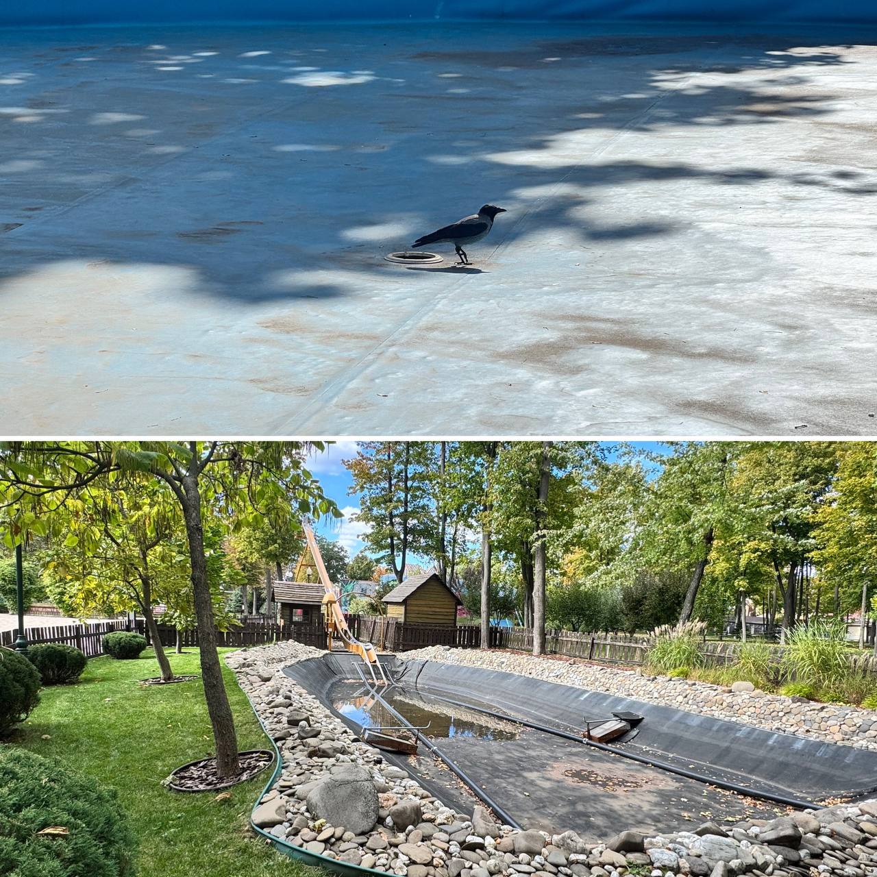 цетральный парк