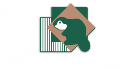 Логотип СК Констракшн Груп