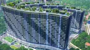 фотографии