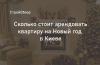 Аренда квартиры в новогоднюю ночь