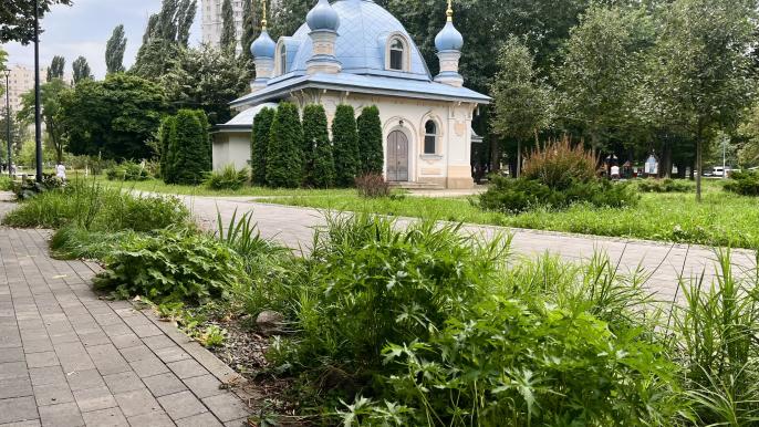 Дощовий садок