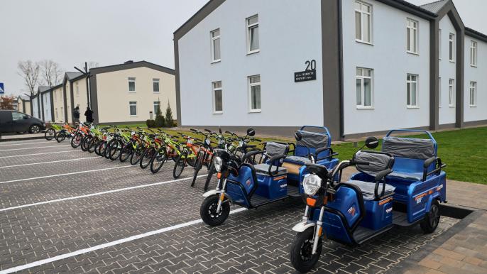 Городок Хансена