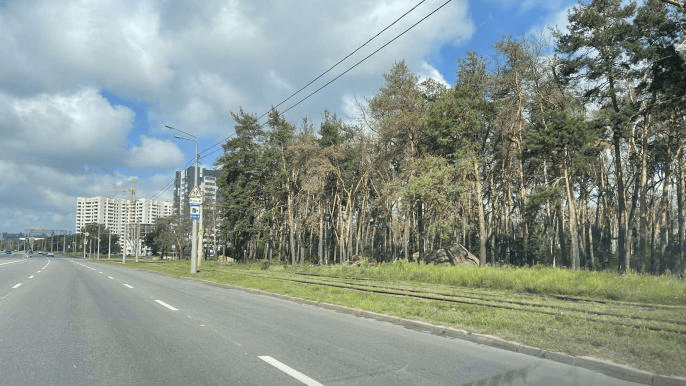 Лес Журавлевский гидро парк