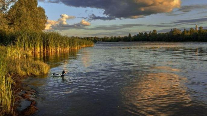 Природные зоны