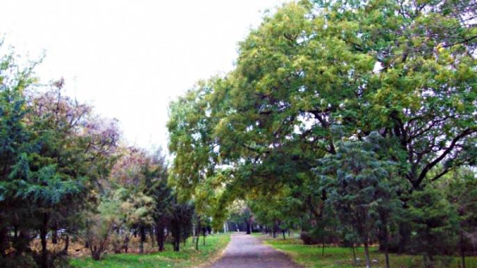 Савицкий парк