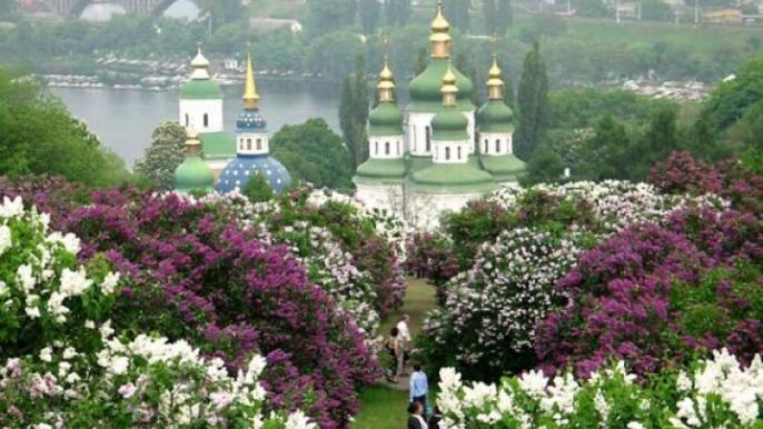 ботсад гришко