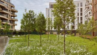 ЖК Файна Таун