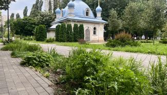 Дощовий садок