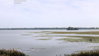 Забудова смуги 