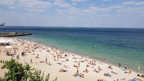 В Одессе создадут общую концепцию благоустройства побережья